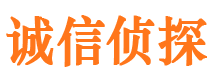 樟树外遇出轨调查取证